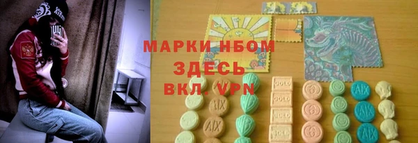 ECSTASY Белокуриха