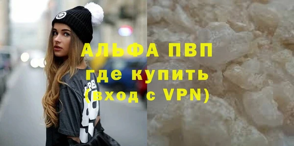 ECSTASY Белокуриха