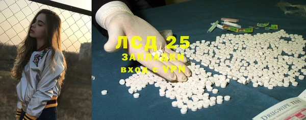 ECSTASY Белокуриха