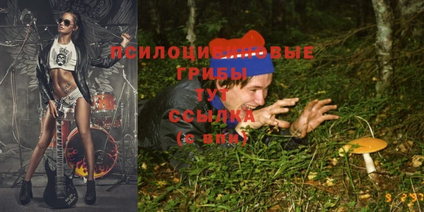 ECSTASY Белокуриха