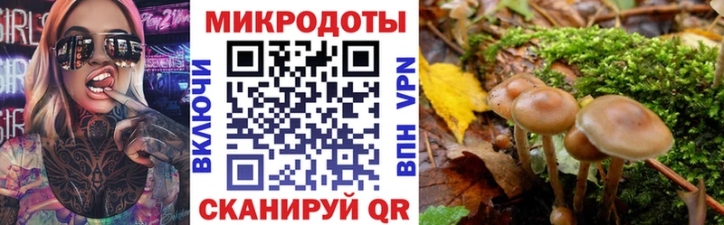 Галлюциногенные грибы прущие грибы  гидра ссылка  Будённовск  продажа наркотиков 